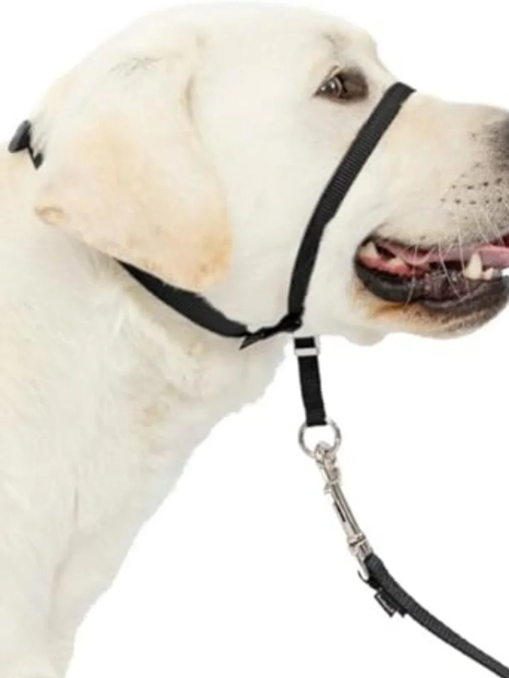 PetSafe Gentle Leader No-Pull Dog Headcollar Large Black